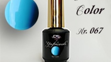 Gel polish Nr.67 10ml